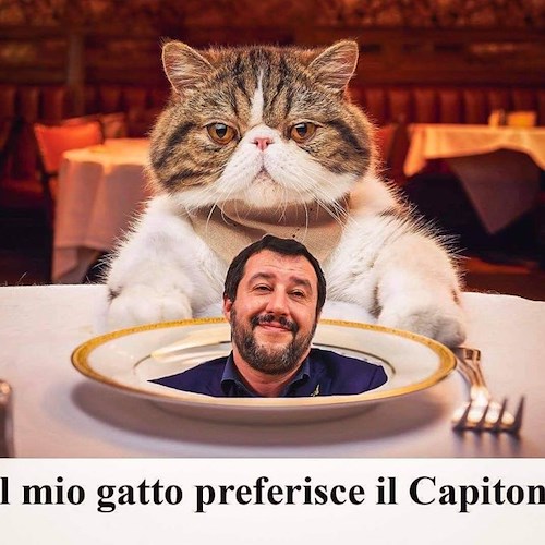 È guerra di meme tra Salvini e i suoi detrattori, si fa satira anche dalla Costa d'Amalfi 