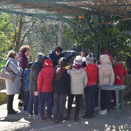 I bambini di Massa Lubrense contadini per un giorno