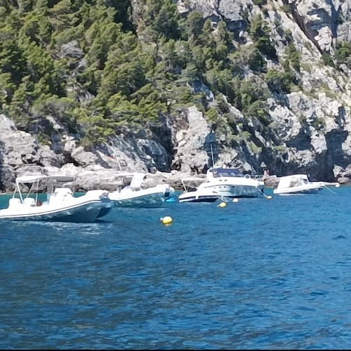 Il campo ormeggio che salva la posidonia: tutela e fruizione nell'AMP Punta Campanella