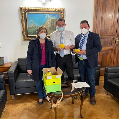 Il Consorzio di Tutela Limone Costa d’Amalfi IGP a Roma per farsi portavoce delle istanze dei contadini eroici