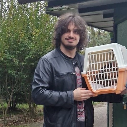 Valerio Braschi, il vincitore di Masterchef adotta gattino a Positano <br />&copy; Positano Animali