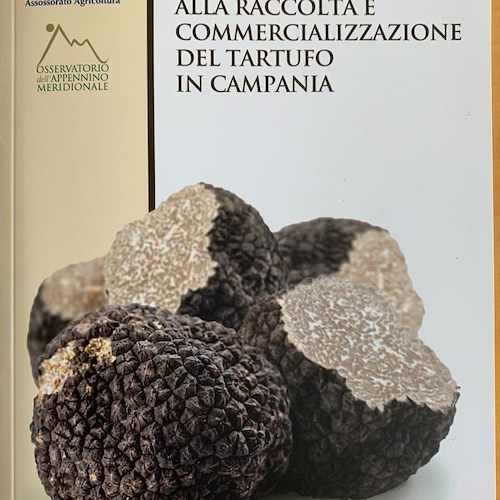 In Campania il primo Corso di analisi sensoriale per giudici qualificati del comparto tartufi