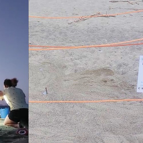 In Campania la Caretta Caretta trova “sabbia fertile” per nidificare