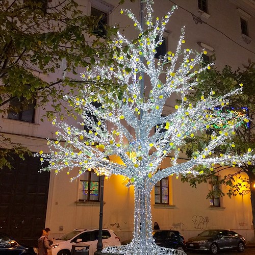 Inaugurate le “Luci d’Artista” a Salerno: in piazza S. Agostino gli alberi di limoni ricordano la Costiera