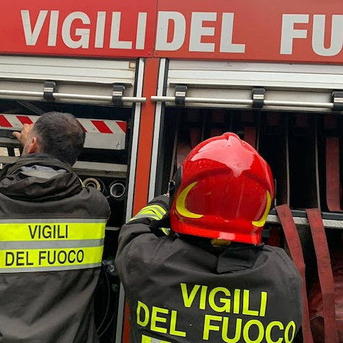 Incatenato fuori al balcone senza acqua e cibo: cane salvato a Nocera Inferiore 