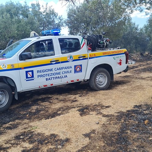 Incendio a Battipaglia, a pochi passi dalle fiamme un cane legato ad un albero: salvato 