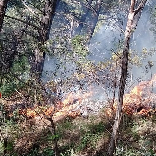 Incendio non ancora domato a Maiori, alta colonna di fumo sul territorio / FOTO