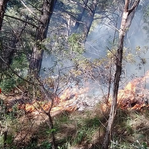 Incendio non ancora domato a Maiori, alta colonna di fumo sul territorio / FOTO