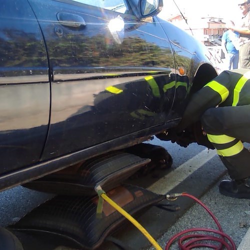 Incidente a Giffoni Valle Piana, auto investe cane che rimane incastrato: salvato dai vigili del fuoco 