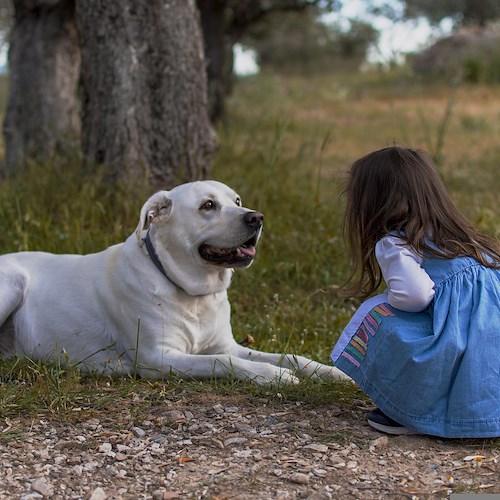 "Io sto con gli animali", a Positano casting fotografico per sensibilizzazione contro l’abbandono dei cani