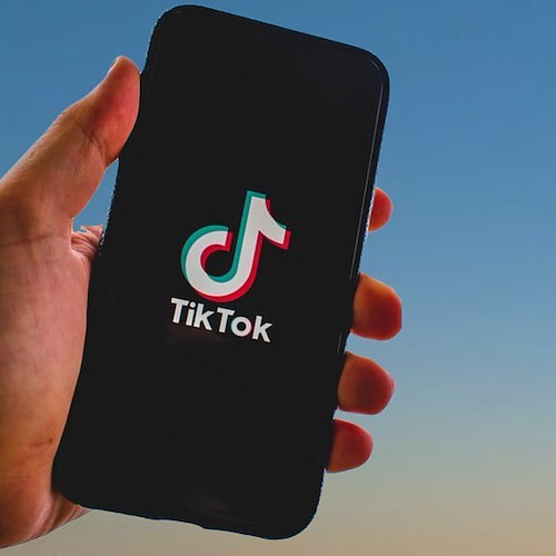 TikTok<br />&copy; nikuga