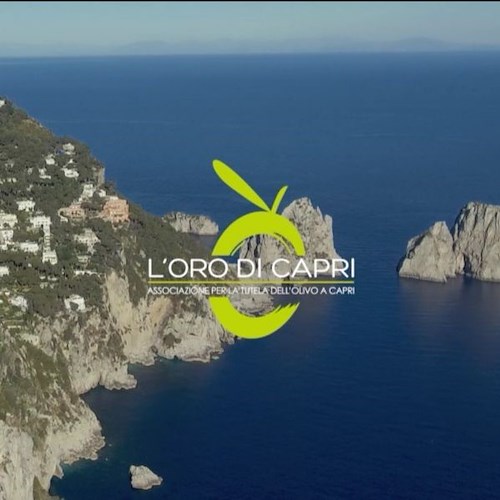 L’ Oro di Capri celebra i suoi primi 7 anni di attività con un docu-video