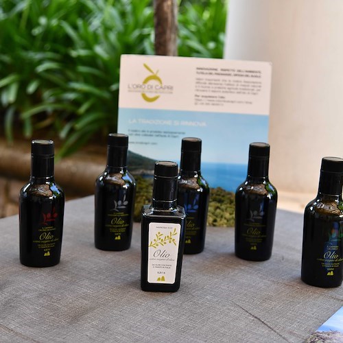 "L'Oro di Capri", l'extravergine dell'isola sarà in vetrina alla fiera "Olio Capitale" di Trieste 