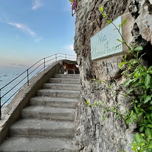 La Chiesa festeggia la Visitazione della Beata Vergine Maria. Meteo: sereno. Good Morning Positano