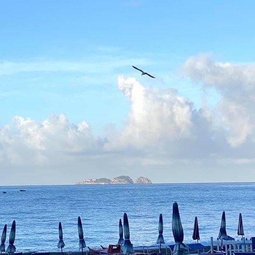 La Chiesa oggi ricorda la Beata Vergine Maria. Meteo: cielo sereno o poco nuvoloso. Good Morning Positano