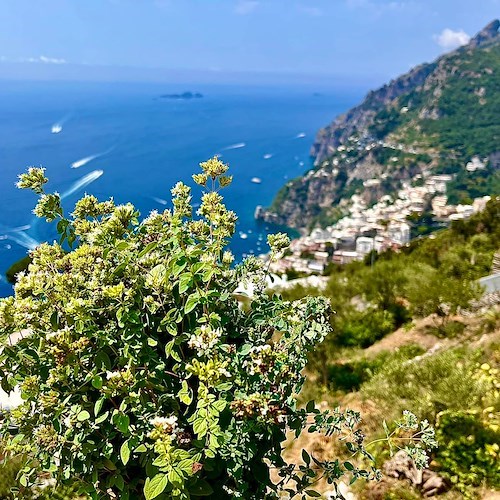 La Chiesa ricorda San Giovanni Eudes. Meteo: nuvolosità variabile. Good Morning Amalficoast