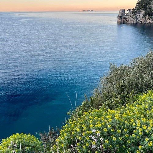 La Chiesa ricorda San Simplicio. Meteo: sereno o poco nuvoloso. Good Morning Positano Notizie