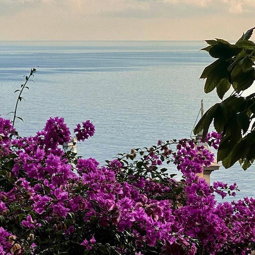 La Chiesa ricorda Santa Rita da Cascia. Meteo: sereno o poco nuvoloso. Good Morning Positano