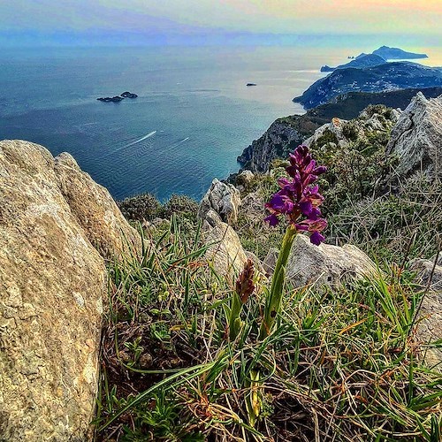 La Chiesa ricorda Santi Sulpicio e Serviziano. Meteo: nubi sparse. Good Morning Positano