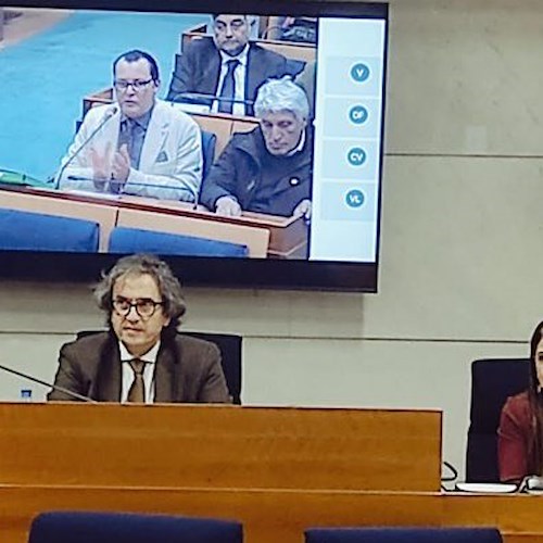 La Commissione regionale Sanità incontra il Comitato Diritto alla Cura