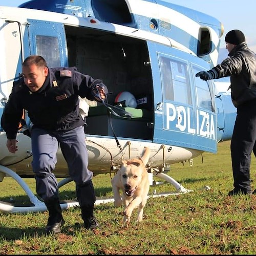 La Polizia di Stato piange il labrador Airon, il ricordo dei militari: «Un cane testone che si è fatto amare da tutti»