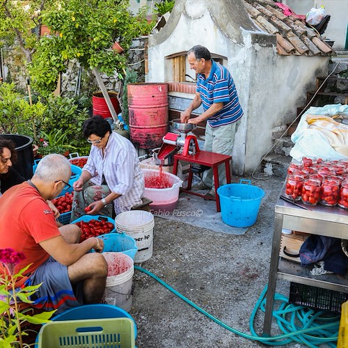 Le conserve di pomodoro in Costa d’Amalfi: a fine estate c'è ancora chi le fa