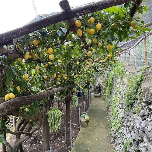 Le macerine, i monumenti simbolo della Costa d'Amalfi raccontati dal Comitato Civico Dragonea
