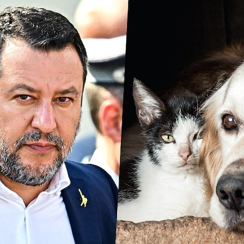 Lega, Salvini chiede l’introduzione del reato di strage di animali