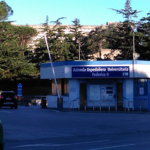 Secondo Policlinico della Federico II di Napoli<br />&copy; Giuseppe Senise su Google Maps