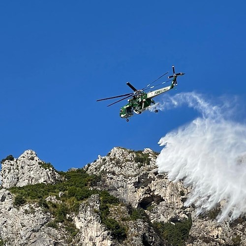Lo scorso anno oltre 400 incendi boschivi in Campania, Protezione Civile studia piano per il 2023 