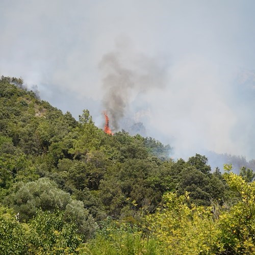 Lo scorso anno oltre 400 incendi boschivi in Campania, Protezione Civile studia piano per il 2023 