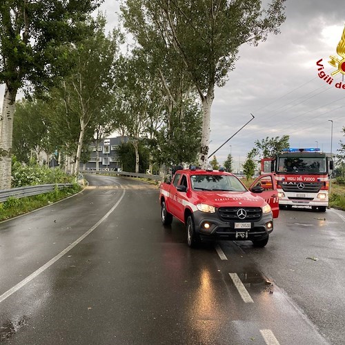 Lombardia nella morsa del maltempo: alberi sradicati, donna perde la vita 