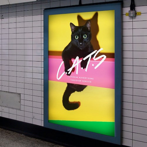 Londra, una fermata metro dedicata ai gatti /foto Glimpse