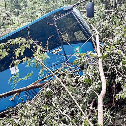 Lunigiana, bus di studenti finisce in una scarpata: diversi feriti, alcuni sono gravi 