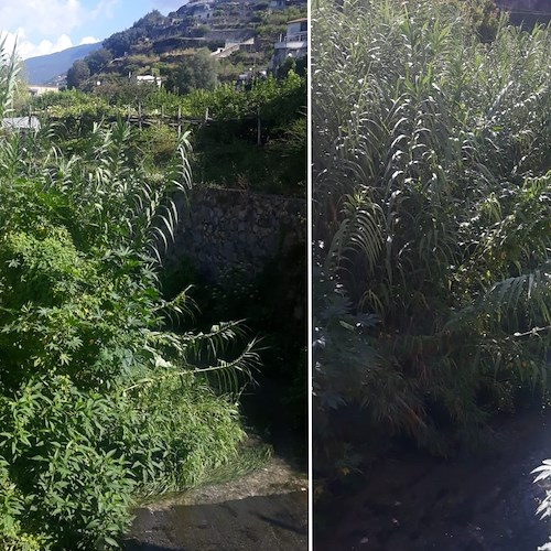 Maiori, "Cambiamo Rotta" chiede pulizia alveo fiume Reginna: «Erba alta ostacola deflusso acqua»