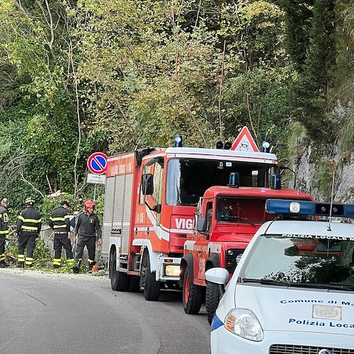 Maiori, rami rischiano di cadere lungo la SS 163: abbattuti dai vigili del fuoco<br />&copy; Massimiliano D'Uva