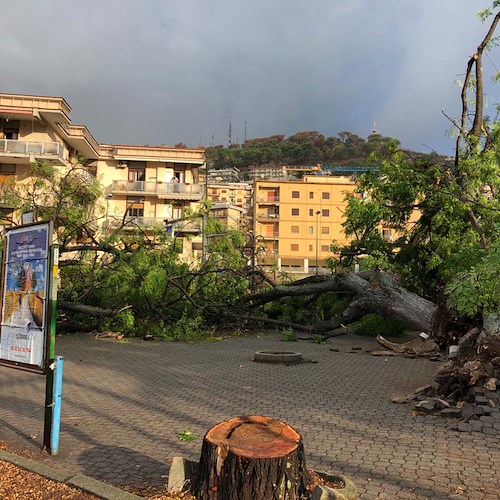 Maltempo a Salerno, ingenti danni a Torrione [FOTO]