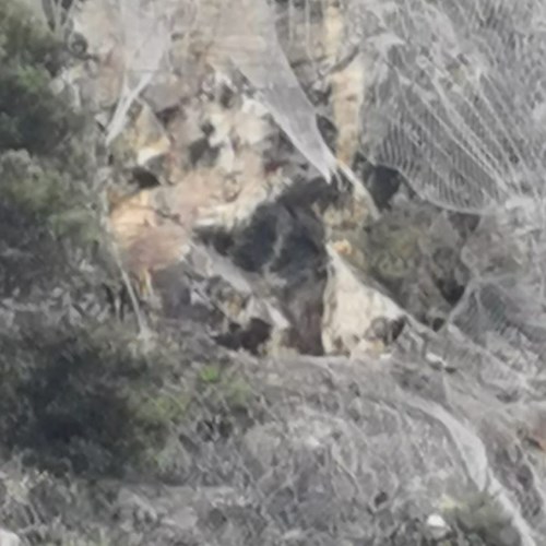 Maltempo, grosso masso piomba sulla strada tra Capri e Anacapri / FOTO - VIDEO