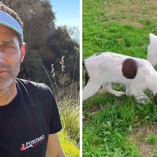 Mamma con due cuccioli finisce in una scarpata a Monte Comune: il salvataggio a opera del team di Fabio Fusco