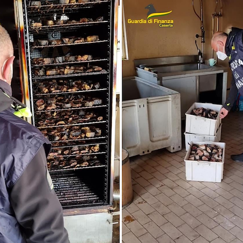Maxi sequestro nel Casertano, finanza scopre tonnellate di alimenti scaduti tra insetti ed escrementi