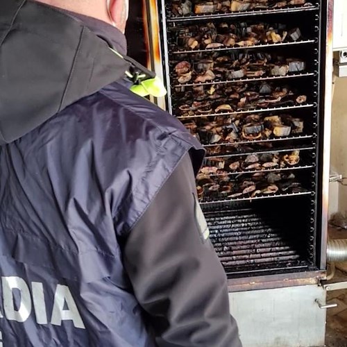 Maxi sequestro nel Casertano, finanza scopre tonnellate di alimenti scaduti tra insetti ed escrementi