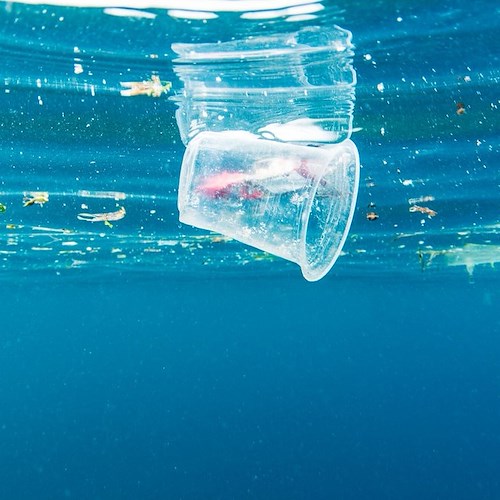 Mediterraneo di plastica: sui fondali il 70% dei rifiuti abbandonati, che poi finiscono nella catena alimentare