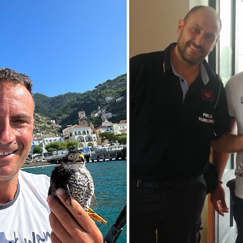 Minori, compleanno speciale per Filippo: salva un falco da attacco di gabbiani