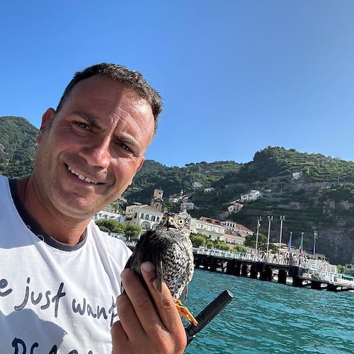 Minori, compleanno speciale per Filippo: salva un falco da attacco di gabbiani