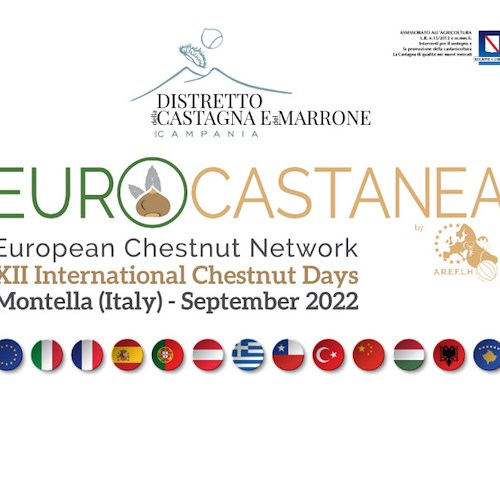 Montella: dal 12 al 14 settembre “European Chestnut Days”, l'evento internazionale sulla castagna 