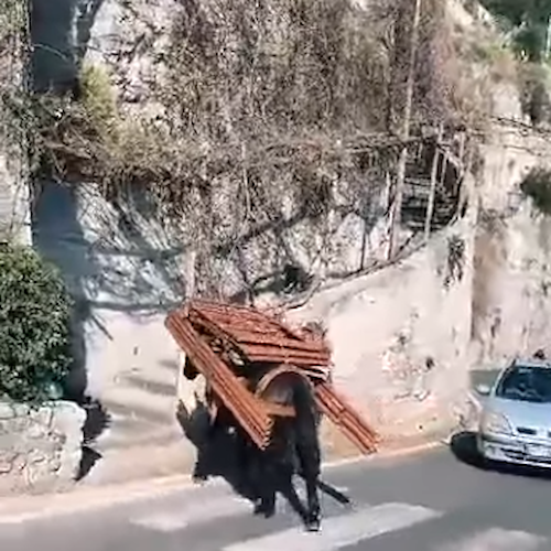 Mulo carico di materiali edili ad Amalfi, video diventa virale e divide gli utenti