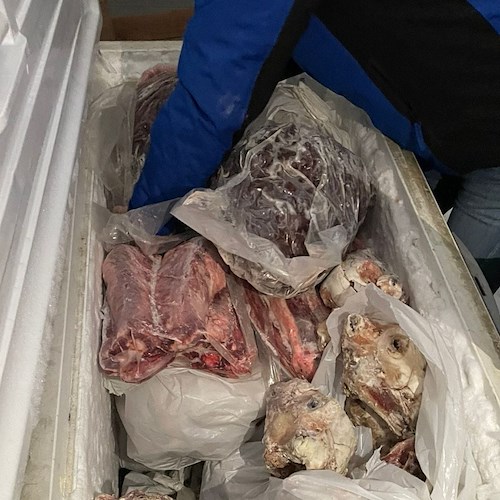 8 tonnellate di carne in cattivo stato<br />&copy; ASL Napoli 1 Centro