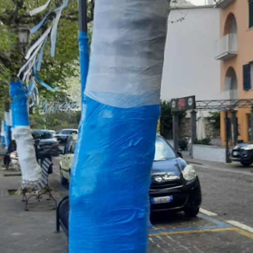 Napoli, alberi ricoperti di plastica per le festa scudetto. L’appello degli ambientalisti: «No a scempio ambientale»