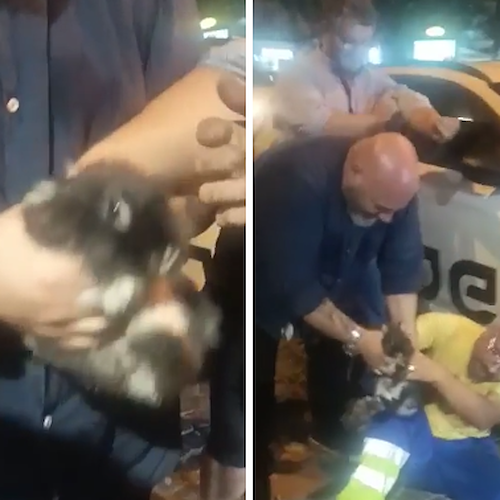 Napoli, coniglietto intrappolato sotto un’auto viene salvato dai cittadini 