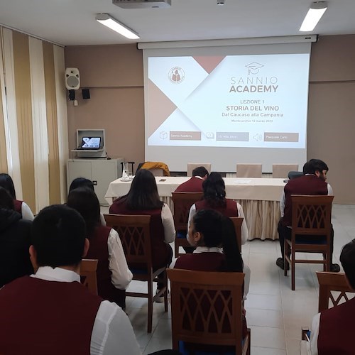 Nasce la Sannio Academy: il Consorzio Tutela Vini forma le nuove generazioni su vitivinicoltura e territorio